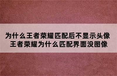 为什么王者荣耀匹配后不显示头像 王者荣耀为什么匹配界面没图像